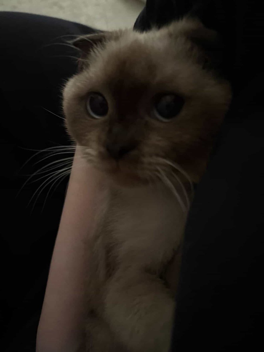 إدريس tweet media