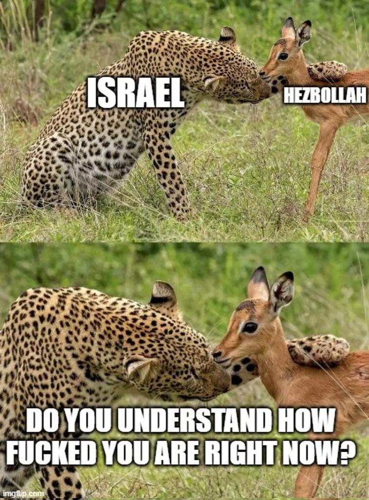 Uri Kurlianchik tweet media