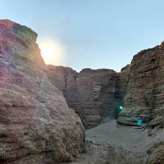 LE CASTOR DU CONGO tweet media