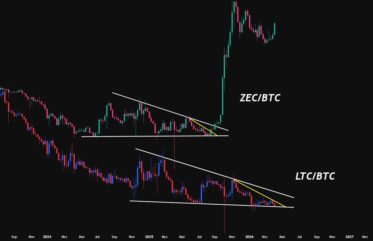 Minimilian tweet media