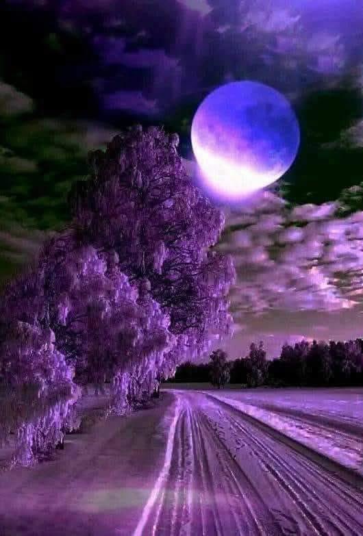 SATI CEBECİ tweet media