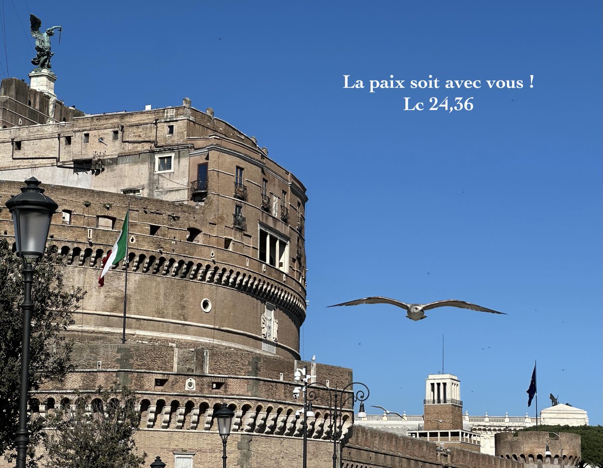 mgrgiraud's tweet image. Lc 24,36 Le Seigneur fut présent au milieu d’eux, et leur dit : « La paix soit avec vous ! » … 48 À vous d’en être les témoins. #lectio Le Seigneur nous fait le don de sa présence et de sa paix. Il nous demande de témoigner qu’il EST notre Paix.