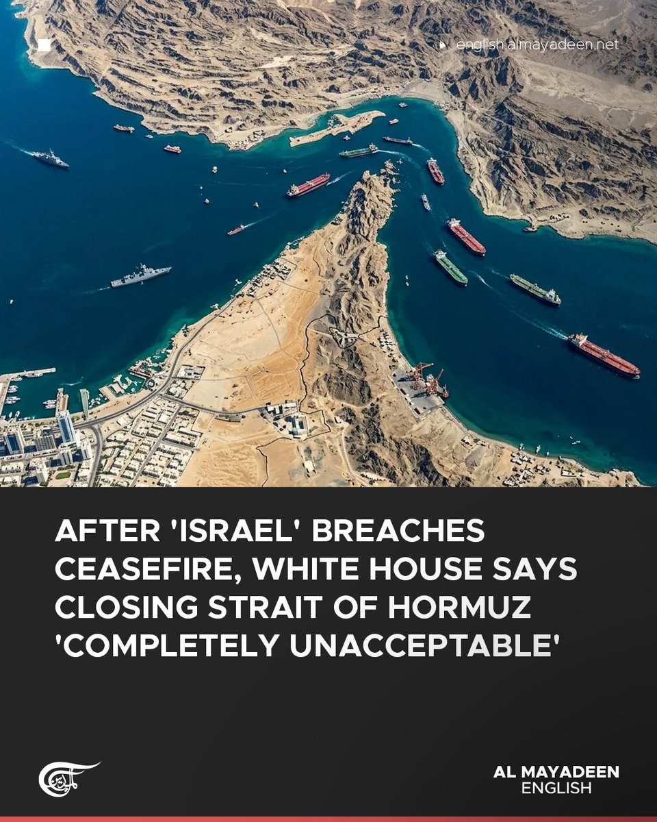 Al Mayadeen English tweet media