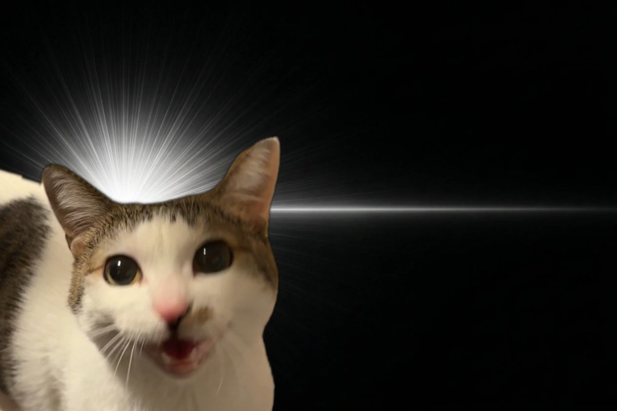 ᴺᵞᴬᴹᵁ ⏻ tweet media