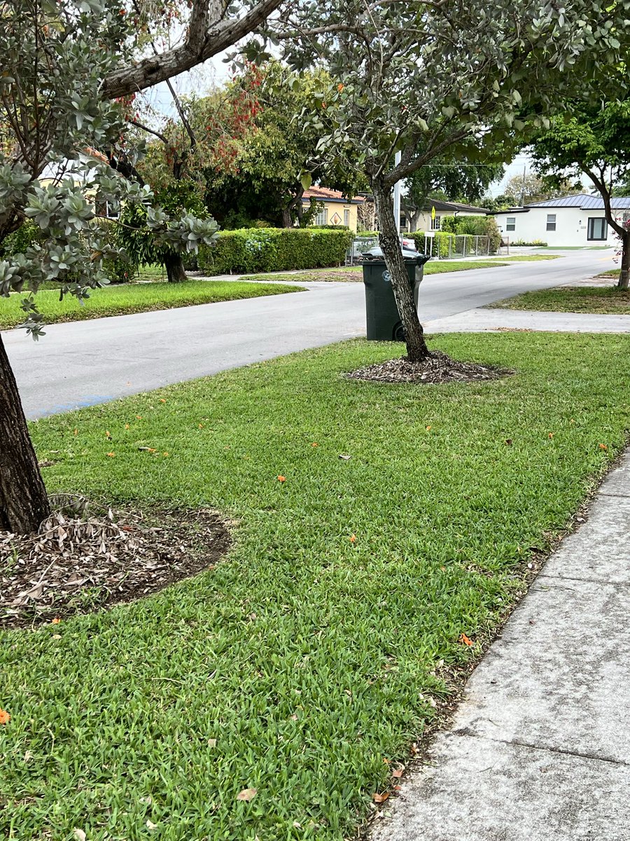 Find da good tweet media