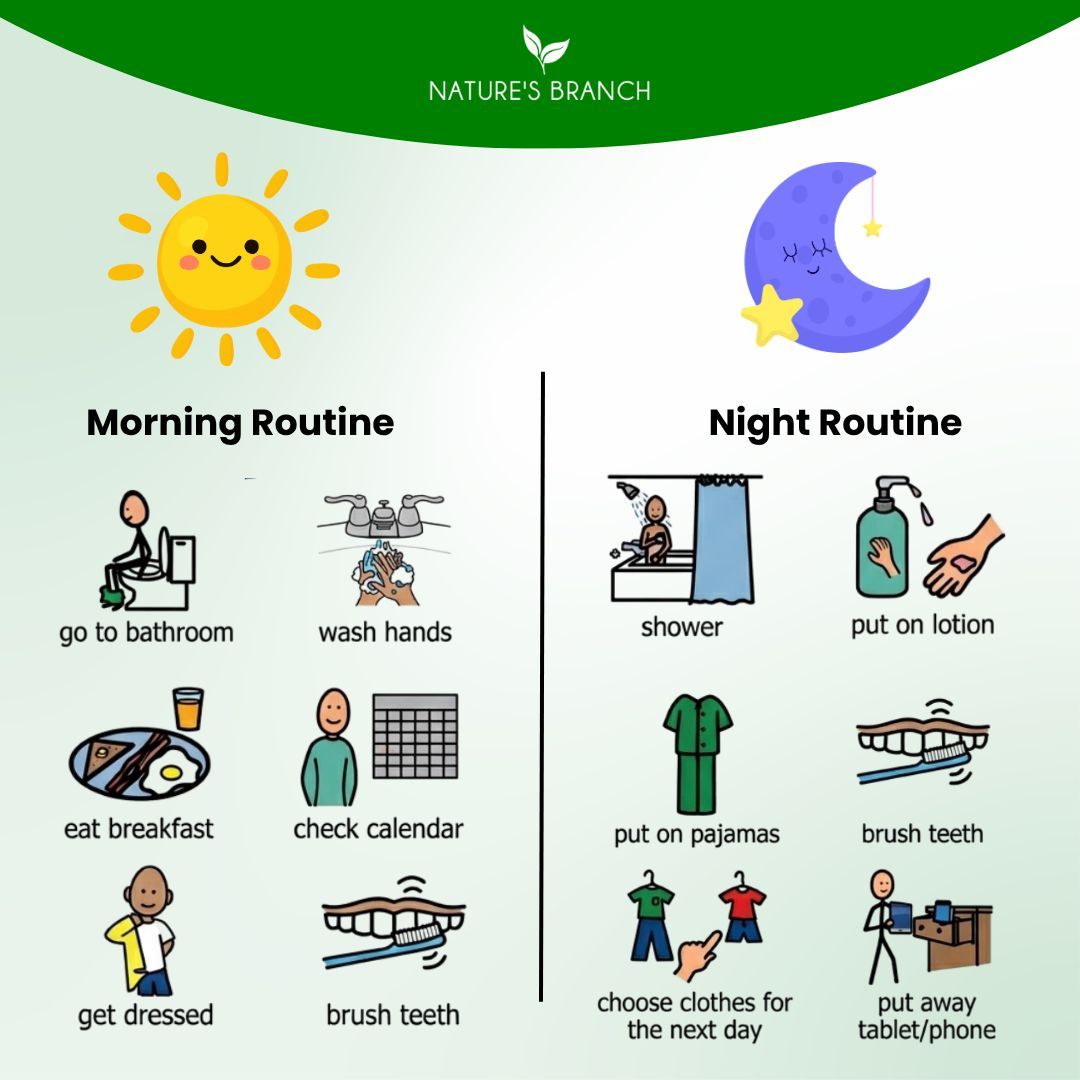 NaturesBranch's tweet image. Morning routine ☀️ or night routine 🌙?

However you structure your day, consistency is key to building a routine that supports your lifestyle. 🌿

Tell us below 👇
#WellnessCommunity #DailyRoutine #HealthyHabits #NaturesBranch