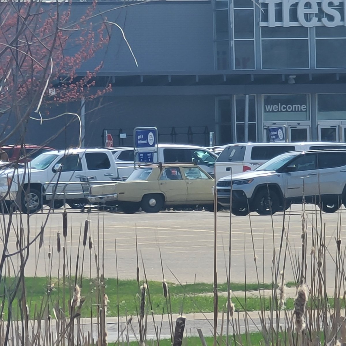 Laffincrow tweet media