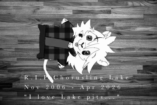 Timely Lake 🦁❤️ tweet media