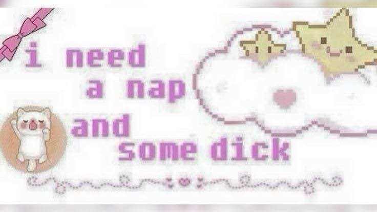 lily 𐙚 tweet media