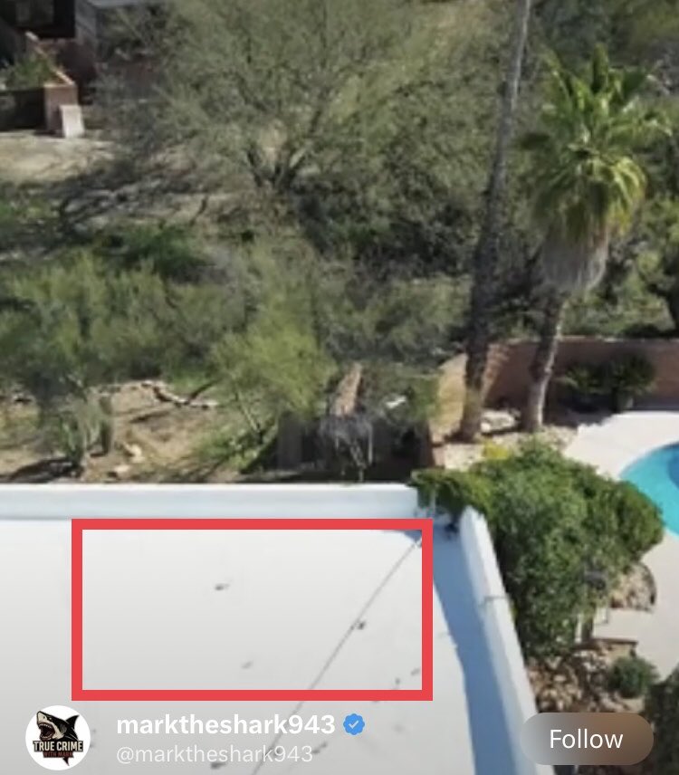 Erin Greene tweet media