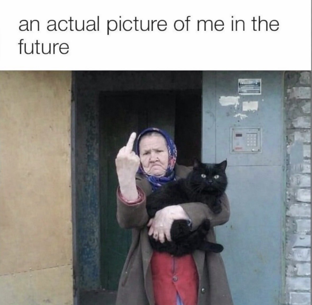 Gwendolyn tweet media