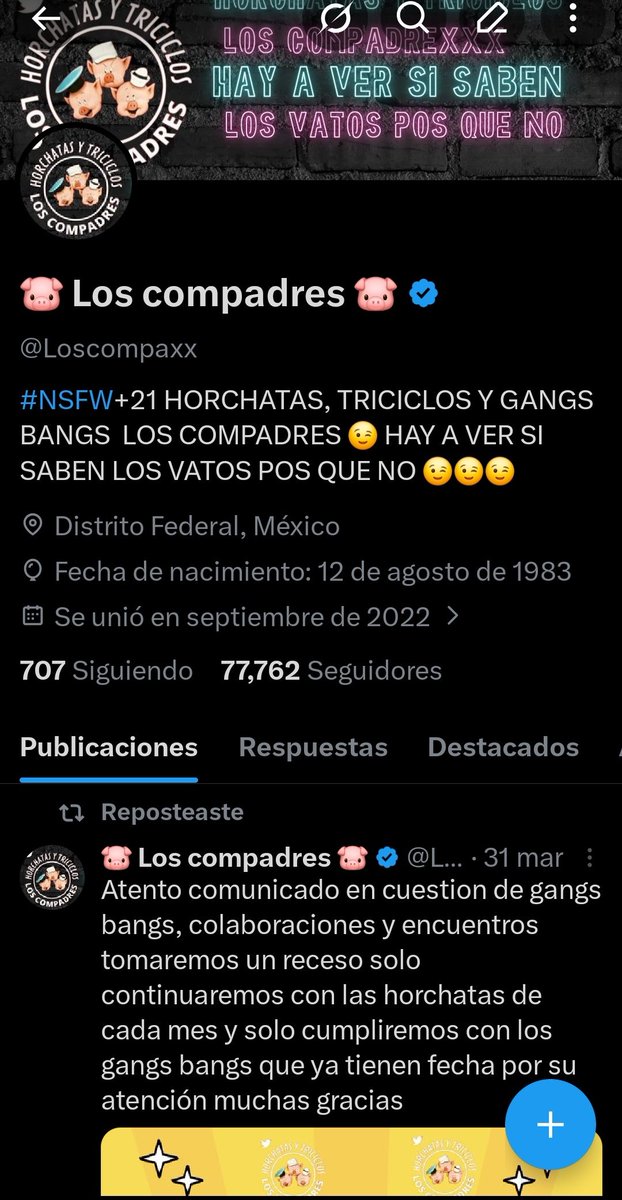 🐷 Los compadres 🐷 tweet media