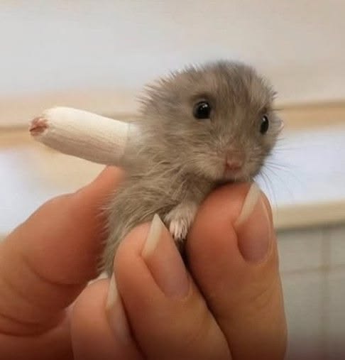 Giovanni⁸ 💻 tweet media