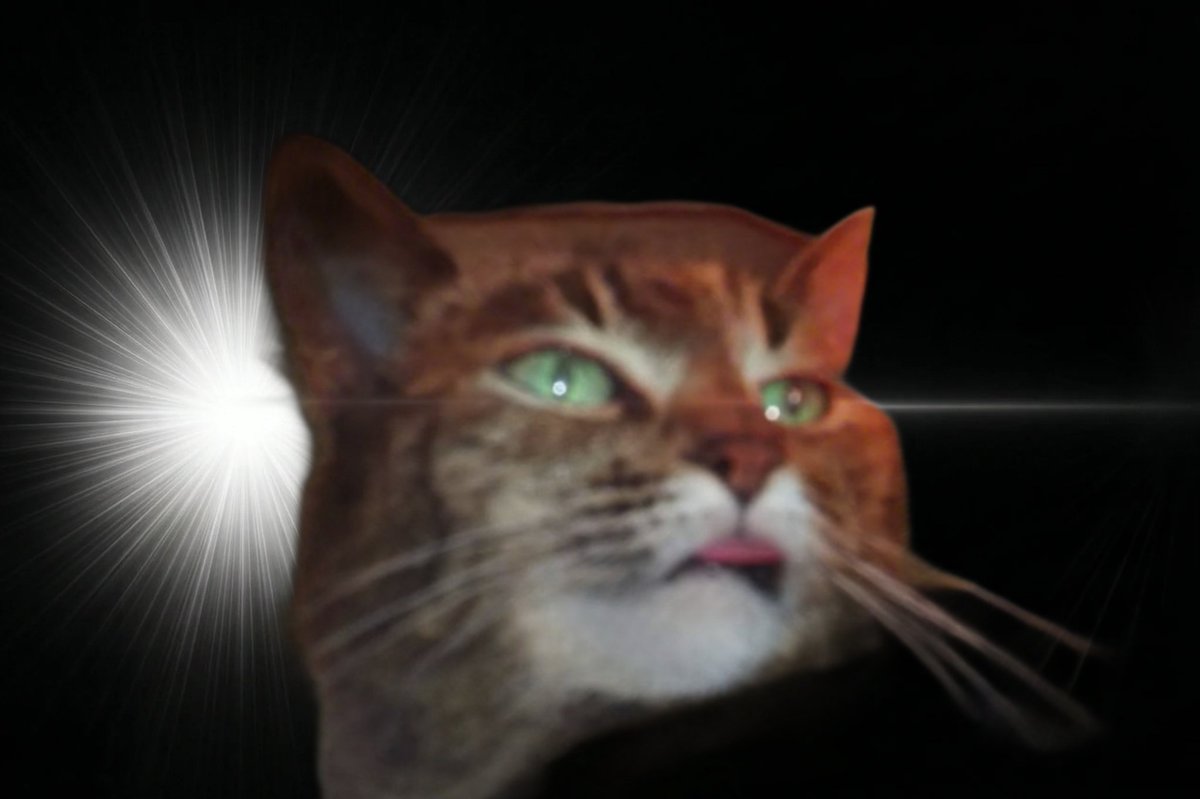 michelle tweet media