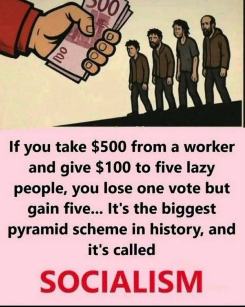 David 🍊💊💎🙌 tweet media