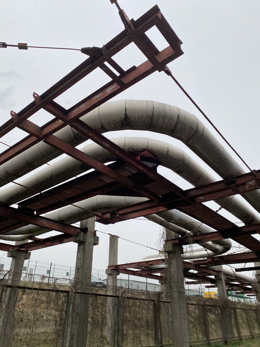 vornarius tweet media