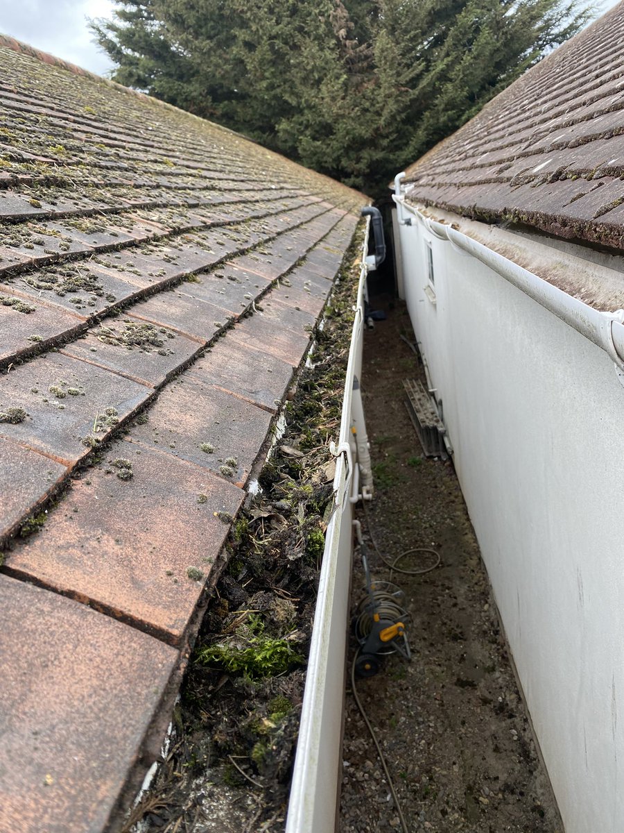 Efficient Cleaning Services tweet media