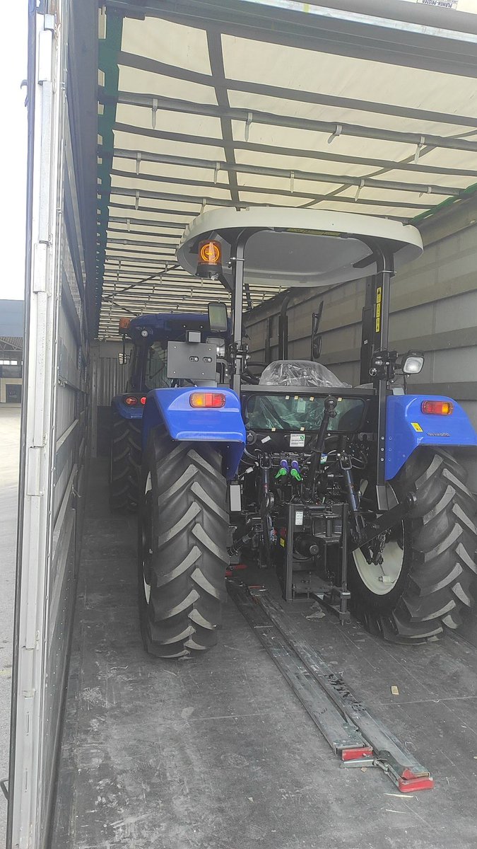 NEMO MEMO tweet media