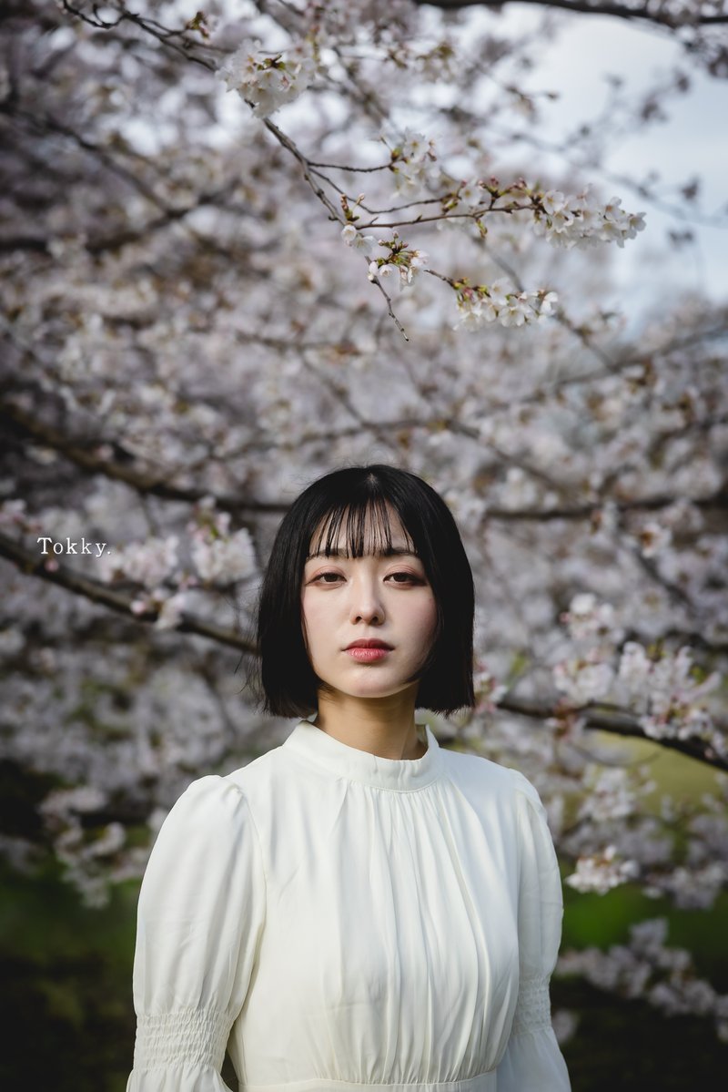 Tokky：4/24~26 2L展 デザフェスで開催します。 tweet media