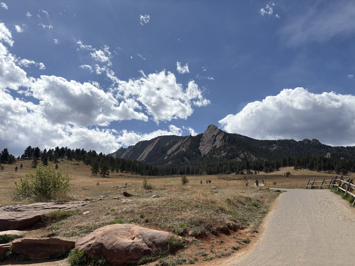 kristen c tweet media