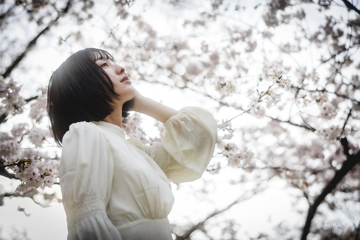 Tokky：4/24~26 2L展 デザフェスで開催します。 tweet media