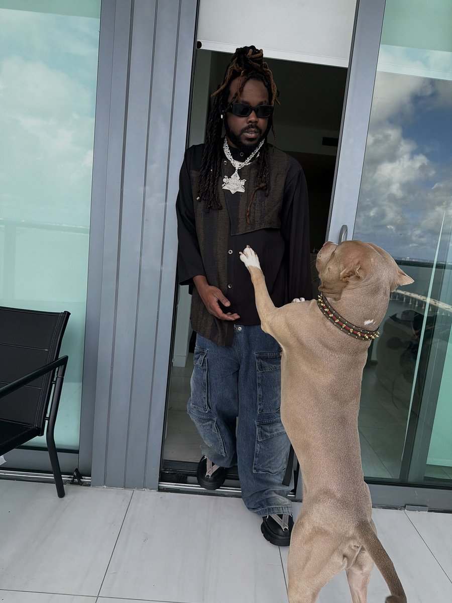 Dom Lucre | Breaker of Narratives tweet media