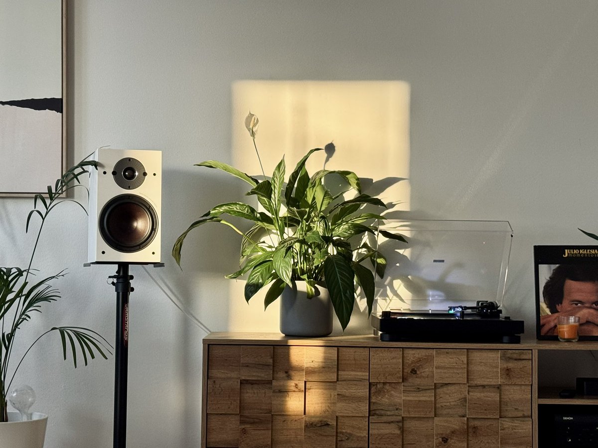 Пётр через ö tweet media