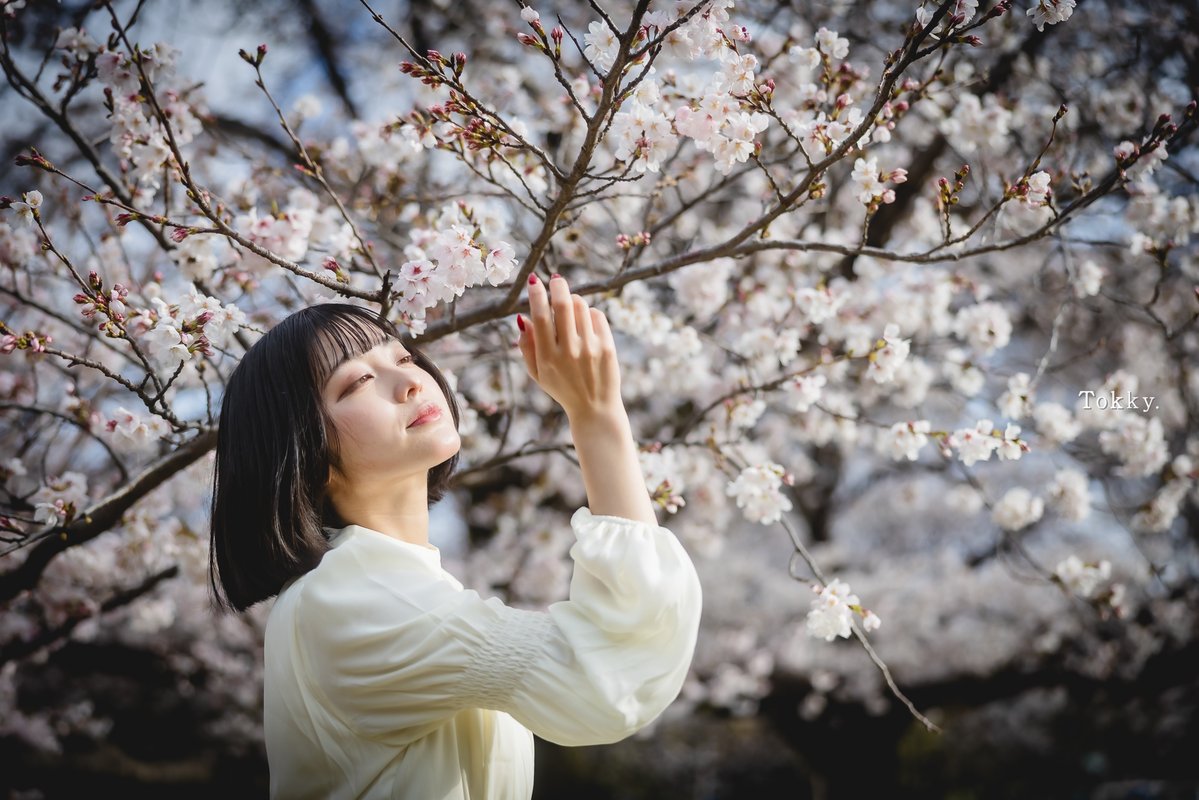 Tokky：4/24~26 2L展 デザフェスで開催します。 tweet media