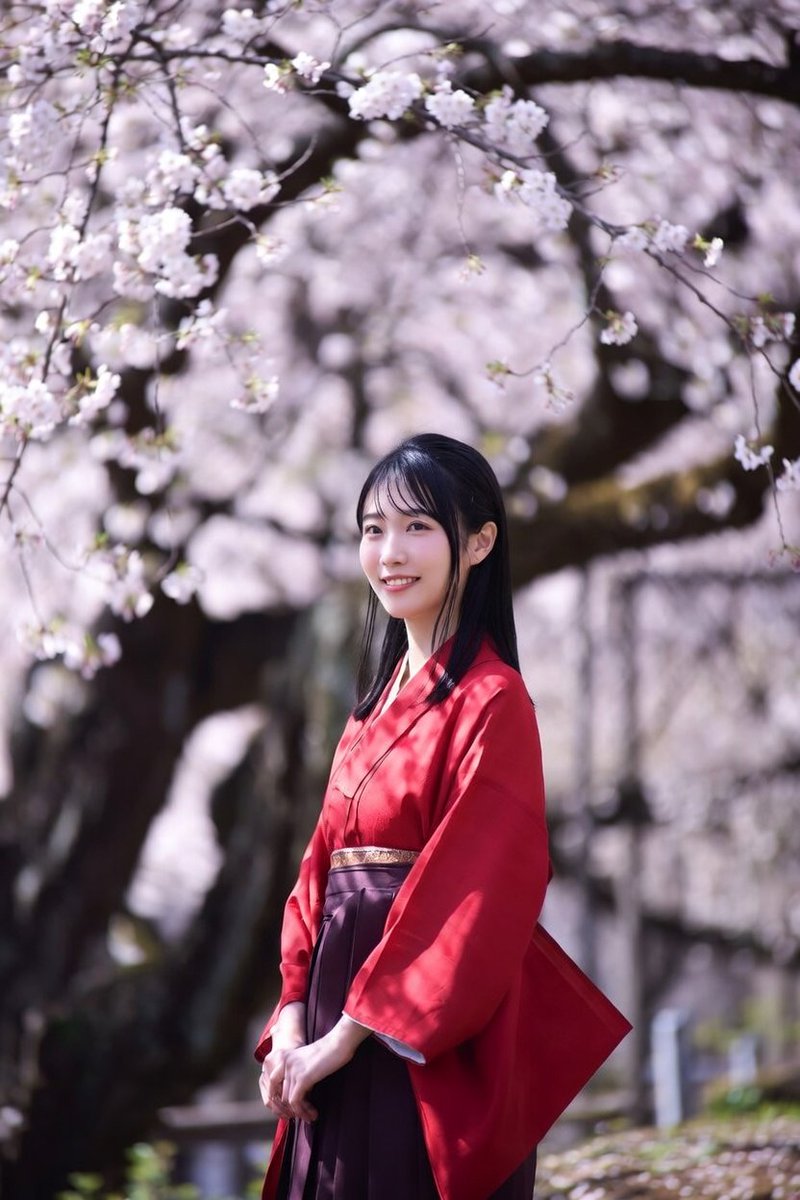 Scott li tweet media