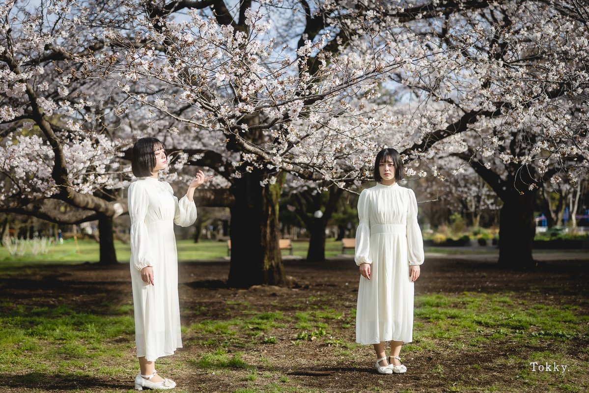 Tokky:4/24~26 2L展 デザフェスで開催します。 tweet media