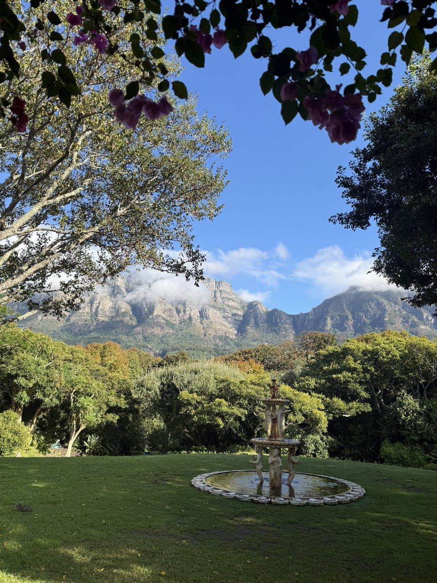 Joshua Raphael tweet media