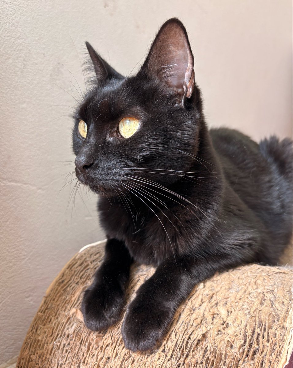 Florencia María tweet media