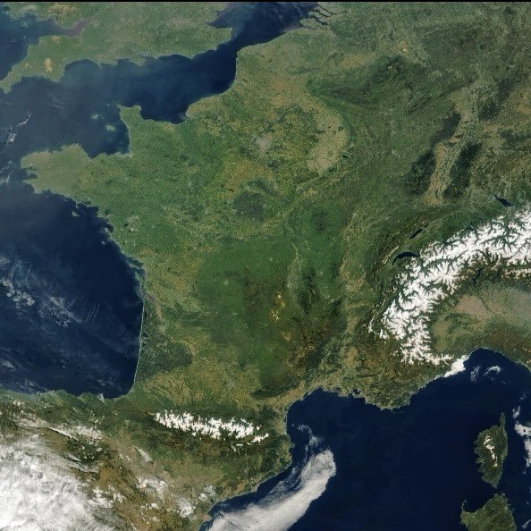 Nahel Belgherze tweet media