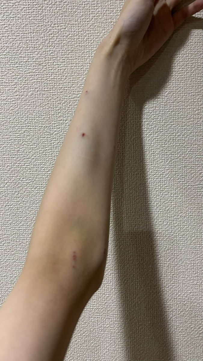 つくし tweet media