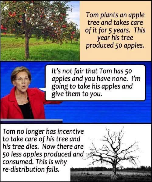 GEORGE- USA 1st 💯🇺🇲🇺🇲🇺🇲 tweet media