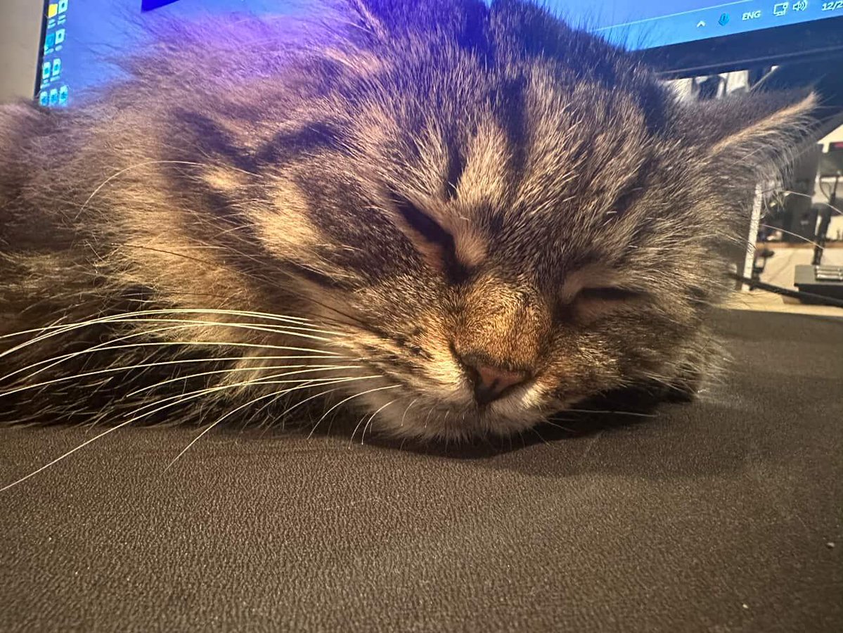 iiiiddes tweet media