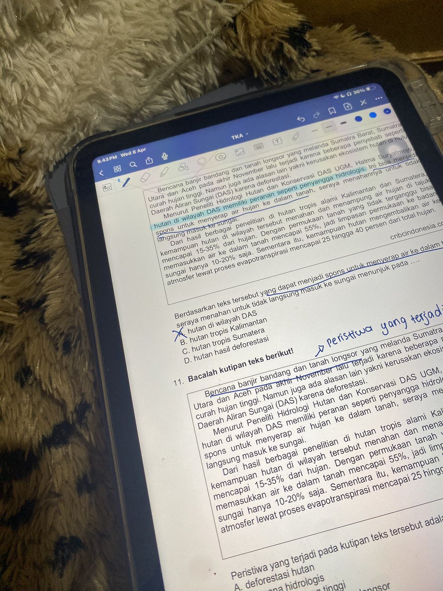 charabella ²⁹ tweet media