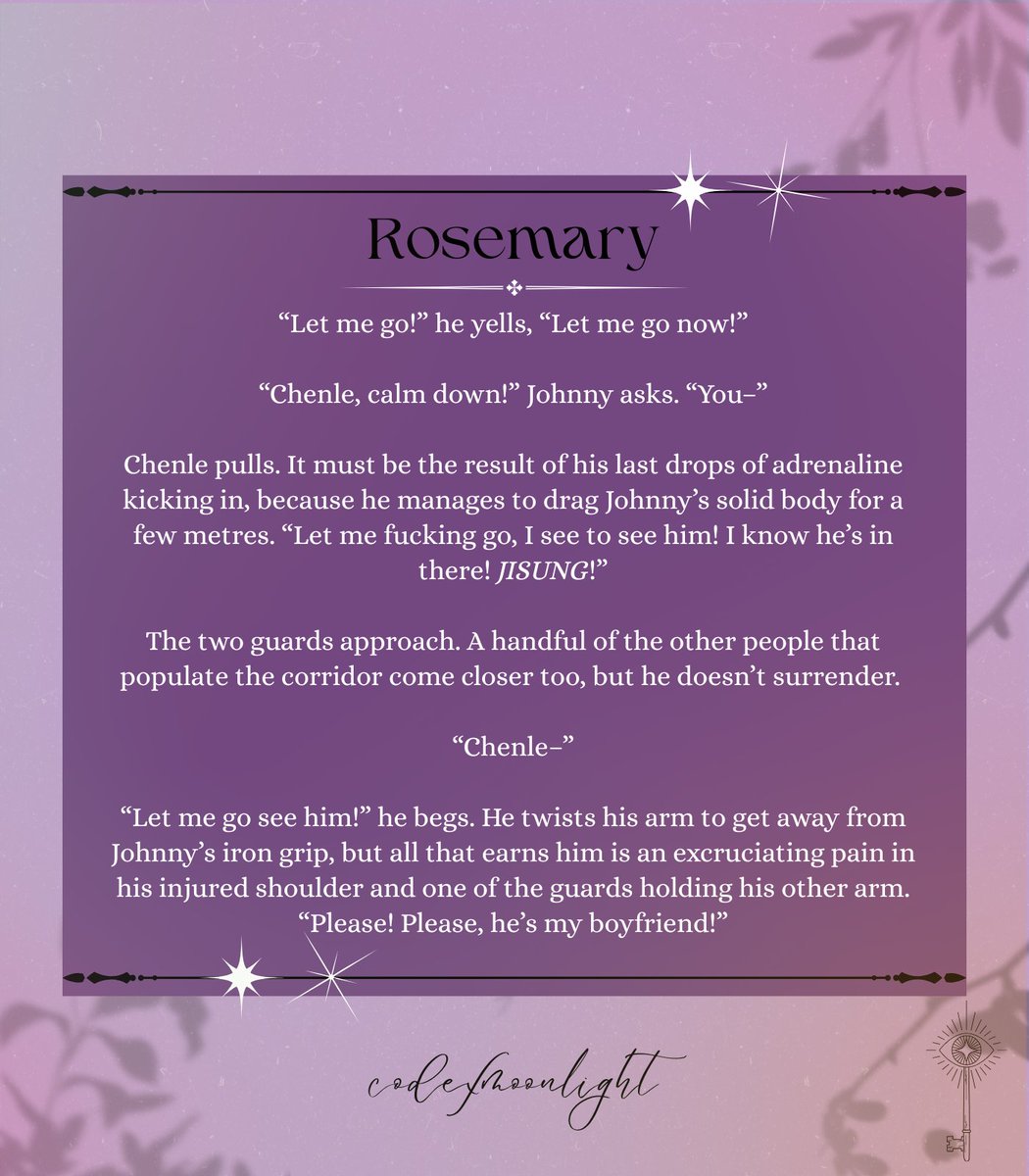 moth 🕸️ tweet media