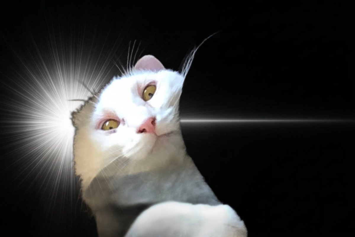 ばぐ² tweet media