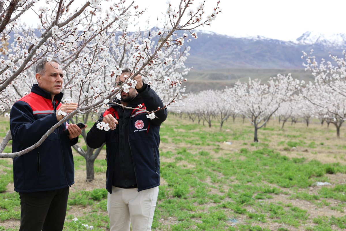 Kars İl Tarım ve Orman Müdürlüğü tweet media