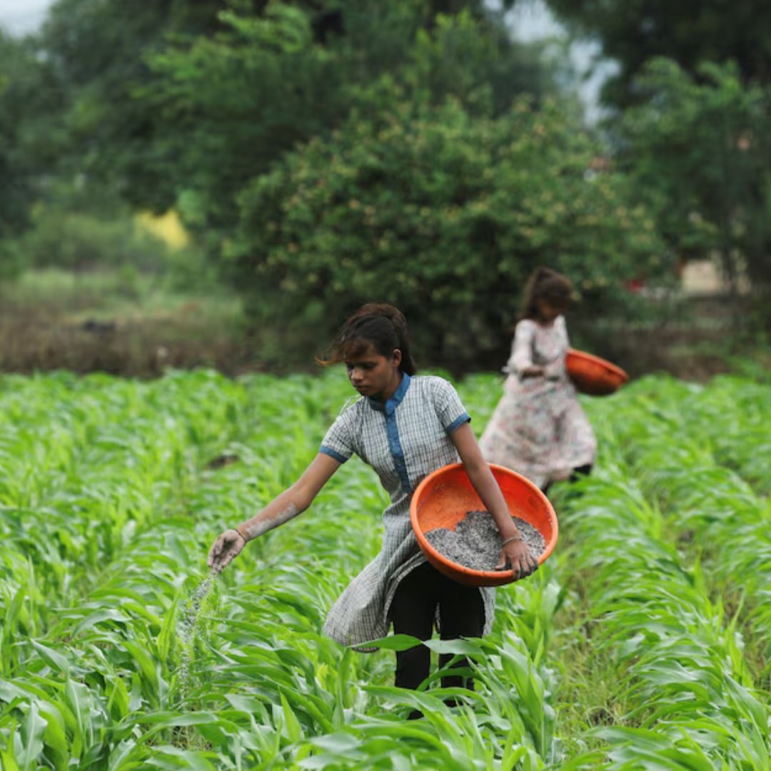 CGIAR tweet media