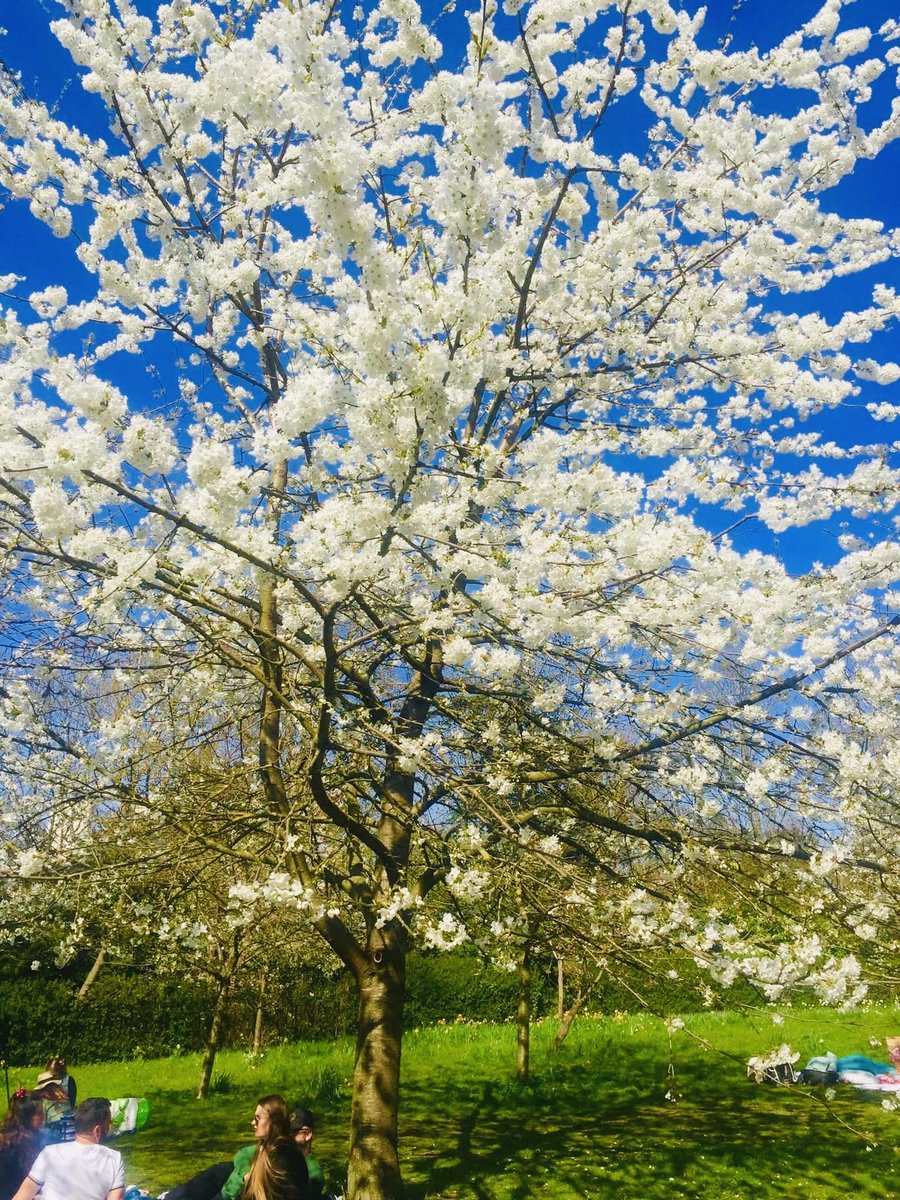 Xi Ato💪🦅👊💚 tweet media