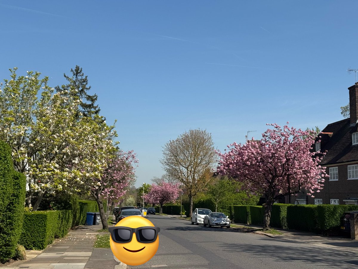 Xi Ato💪🦅👊💚 tweet media