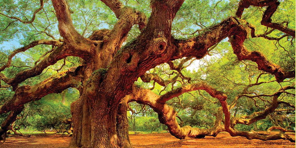 BankDirector's tweet image. Branching Makes a #Comeback – Read @Jackie_Stewart5's 2nd Quarter Bank Director #Magazine feature #article here!
bankdirector.com/magazine/2nd-q…