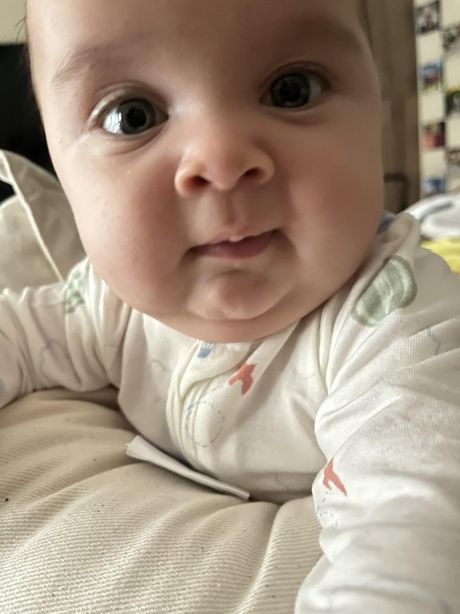 Tom Woods tweet media