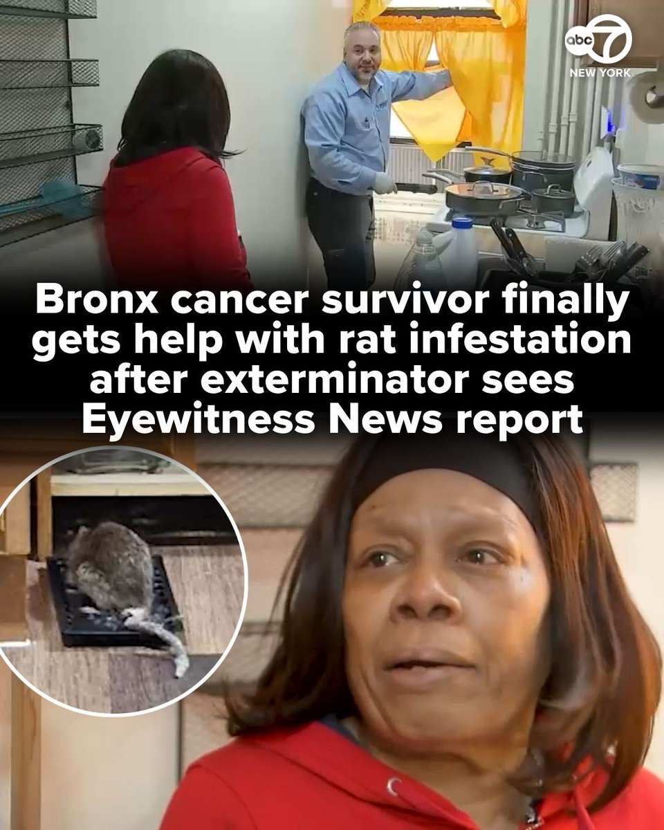 After seeing our Eyewitness News report, the owner of Positive Pest Management wanted to help and sent over an exterminator at no cost. The Bronx Borough President is now involved.

More: abc7ny.com/post/bronx-wom…