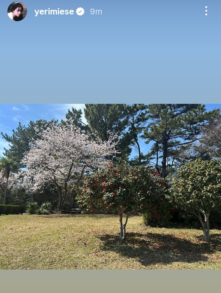 YR ミ✰ ACT I: Yerim tweet media