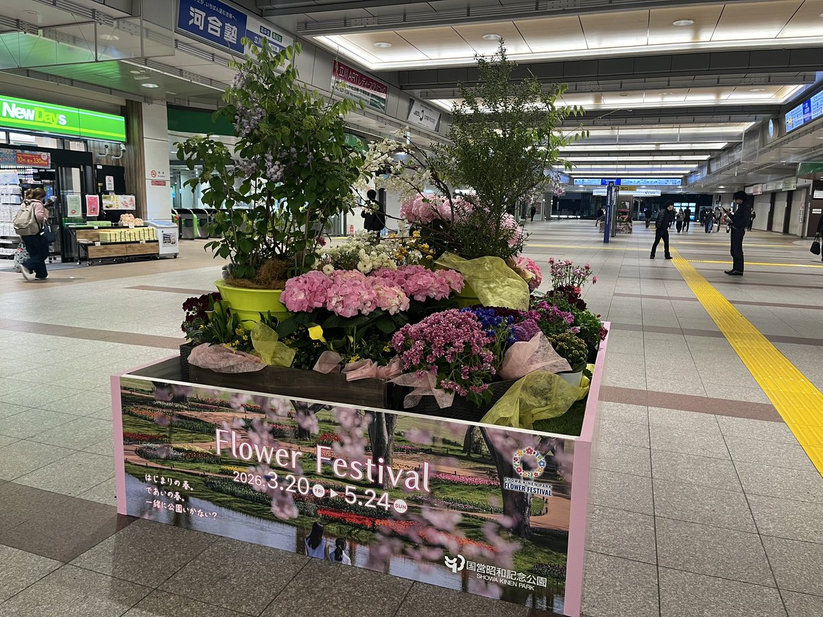 鴨と。 tweet media