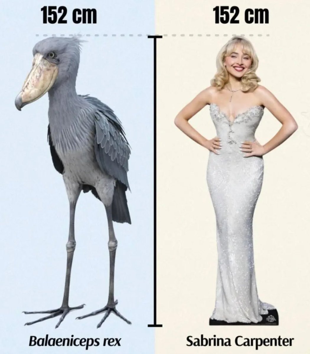 Juanito Say tweet media