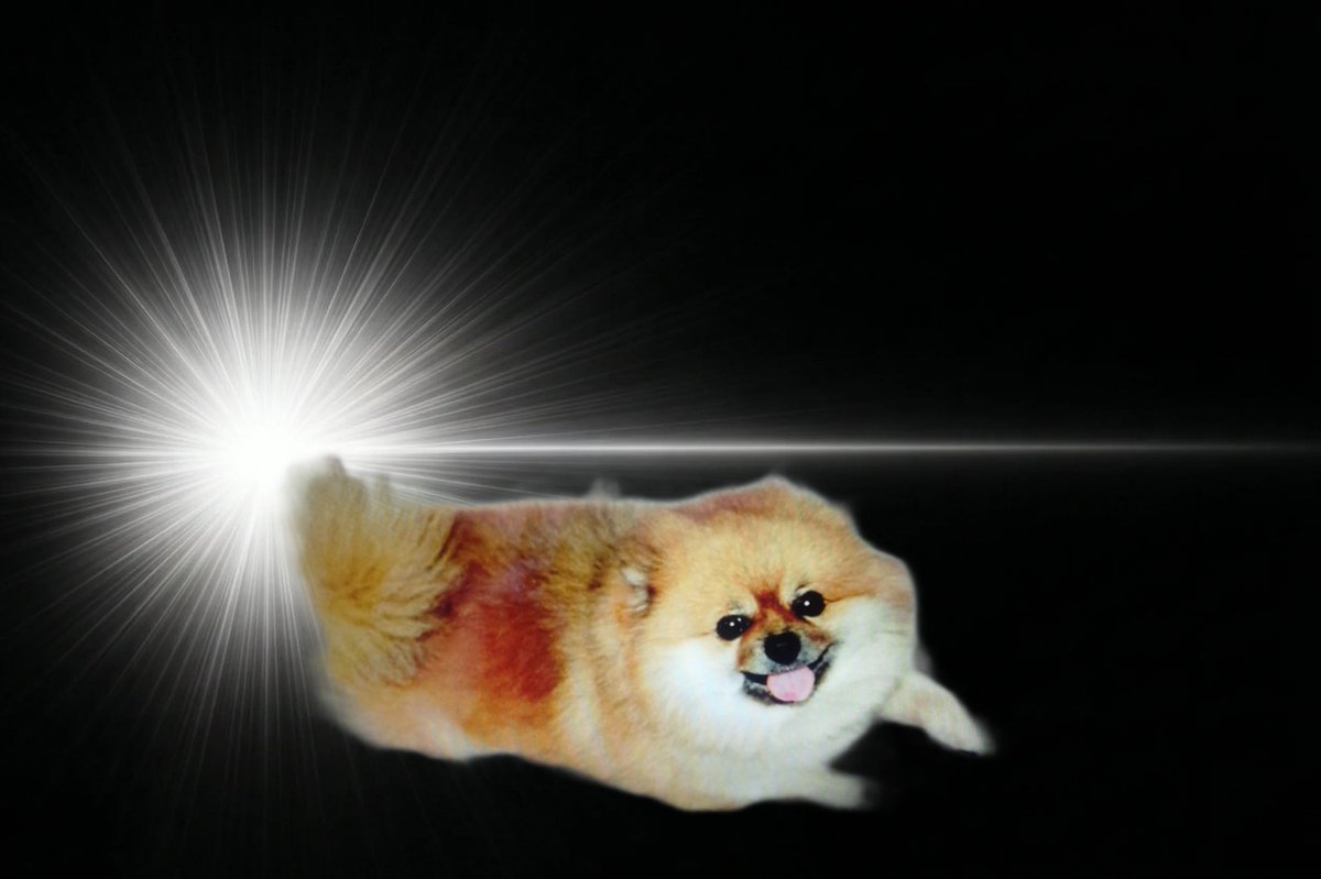 石本 雄 tweet media